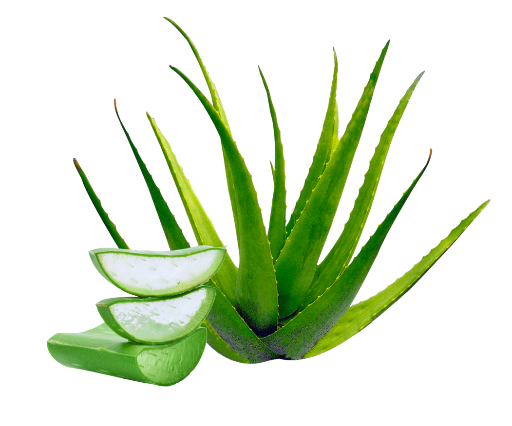 sabila 1